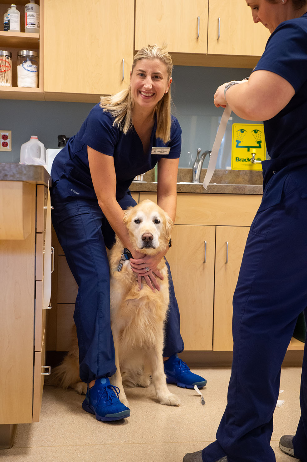 Pet Health | McKean, PA | McKean Veterinary Hospital