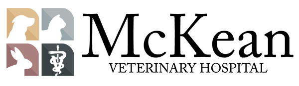 McKean Veterinary Hospital